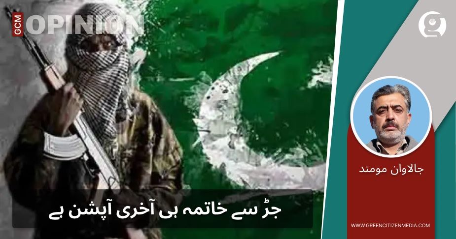 جڑ سے خاتمہ ہی آخری آپشن ہے